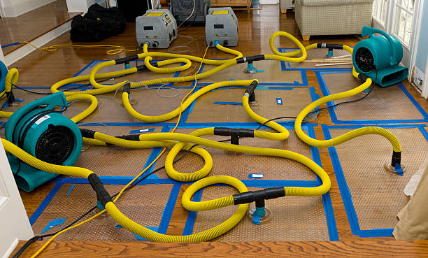 Professional Basement Flood Cleanup technician working in Woodsville, NH